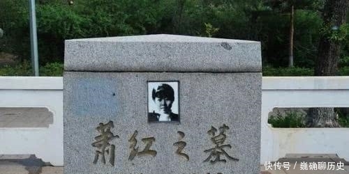 鲁迅|鲁迅为何极力帮她?如流星划过天际的女人,写出了力透纸背的文字