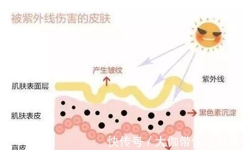 美白丸 护肤品的那些冷知识！护肤品的那些冷知识！