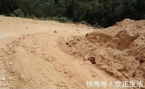 膳食纤维|便秘人的肠道就像一条没有铺设好的马路