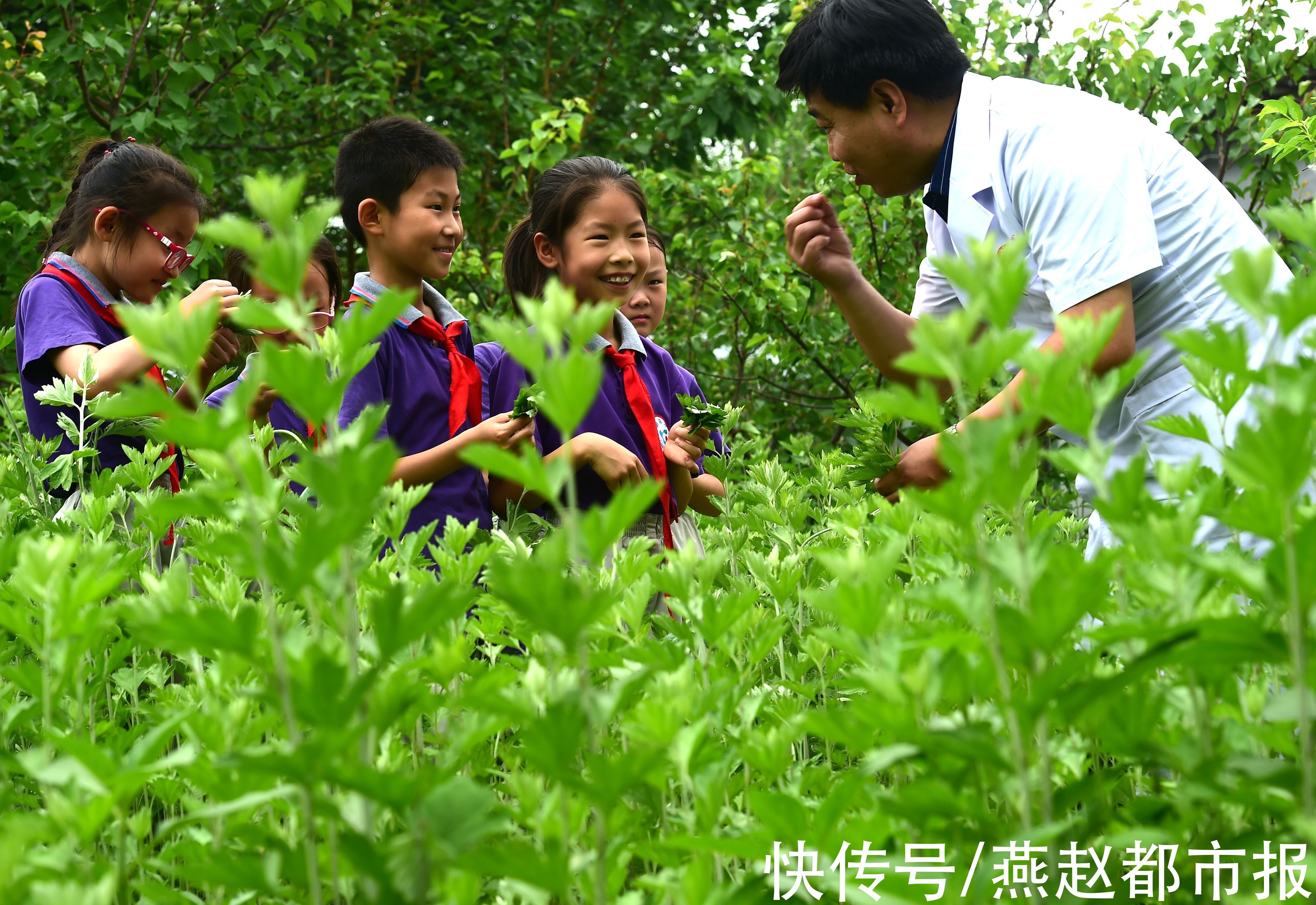 院区|6年奋进铺就高质量发展“人医路径”——沧州市人民医院医专肿瘤院区成立六周年纪实