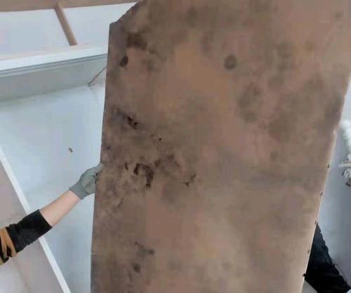 涂刷|入住不到半年衣柜内就充满霉味,扒开一看,为什么没人提醒我注意