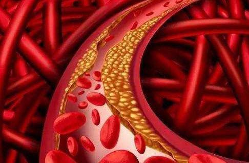 红枣|吃胡萝卜、红枣、菠菜能补血辟谣效果都不好,告诉你补血吃啥