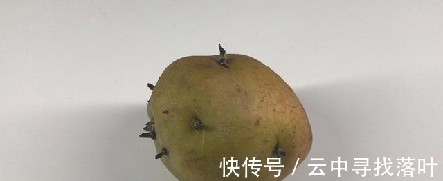 潘荣陛|不宜常吃的4种蔬菜或已公布,不妨对照一下,有没有你经常吃的!