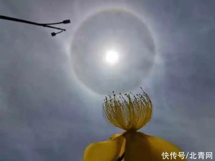 杭州 太阳戴美瞳了！今天中午杭州上空这一幕被刷屏了