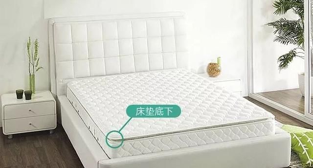 床上螨虫成窝,家里老人小孩老过敏,教你1个土法子,让螨虫消失