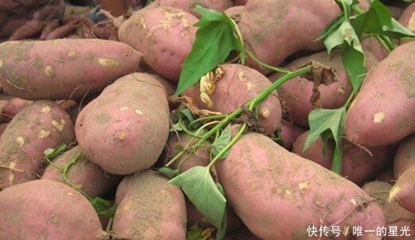 试试|红薯加上它,小肚子不鼓了,失眠好了,女人不想满脸色斑,可试试