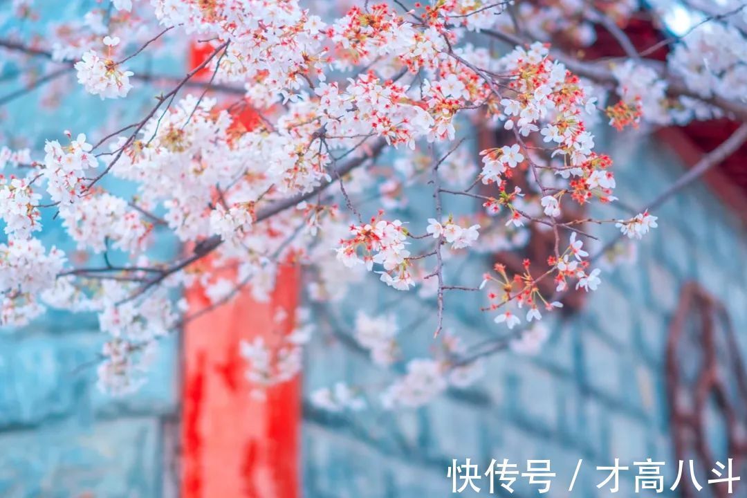 李商隐!15首最美七绝情诗,首首深情,爱你千千万万遍!