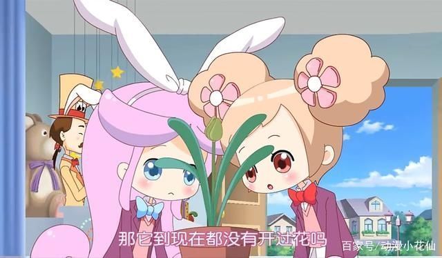 千韩|小花仙千韩为何如此受人喜爱网友我喜欢千韩的文静优雅