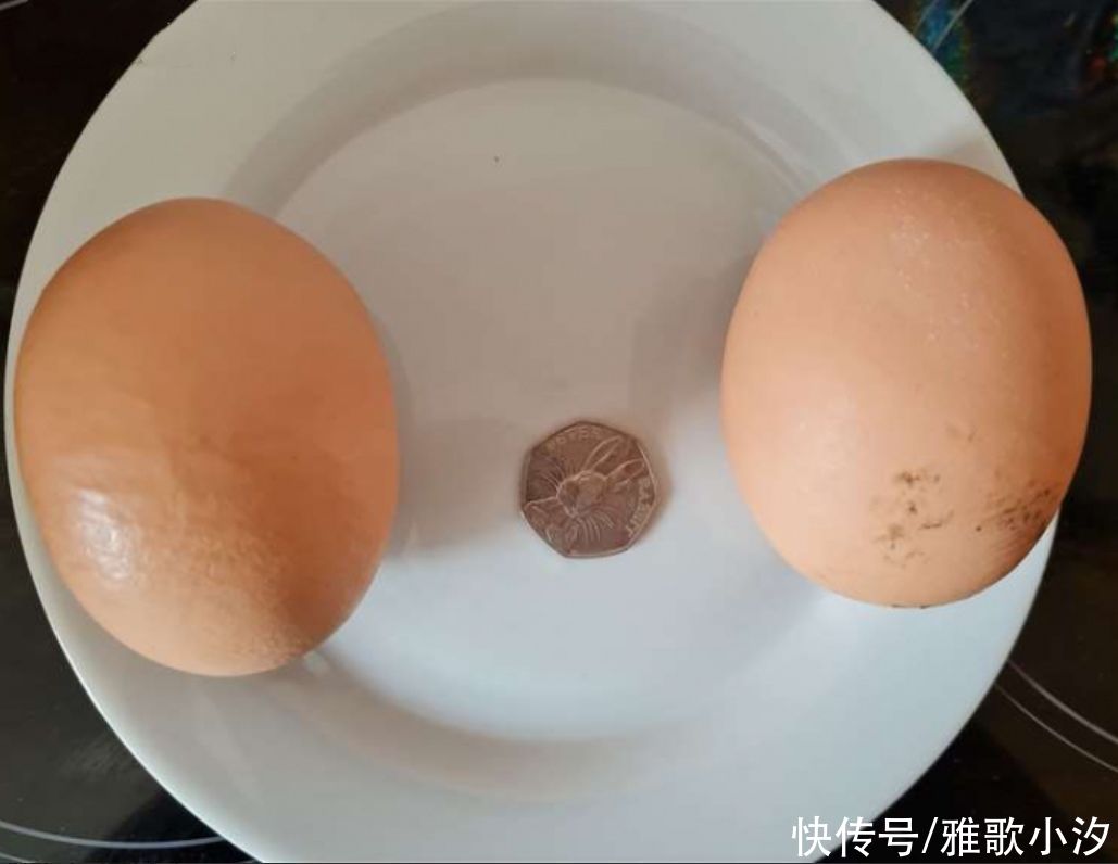 妈妈|英国妈妈晒出“超级巨蛋”，网友：这只母鸡吃了啥？