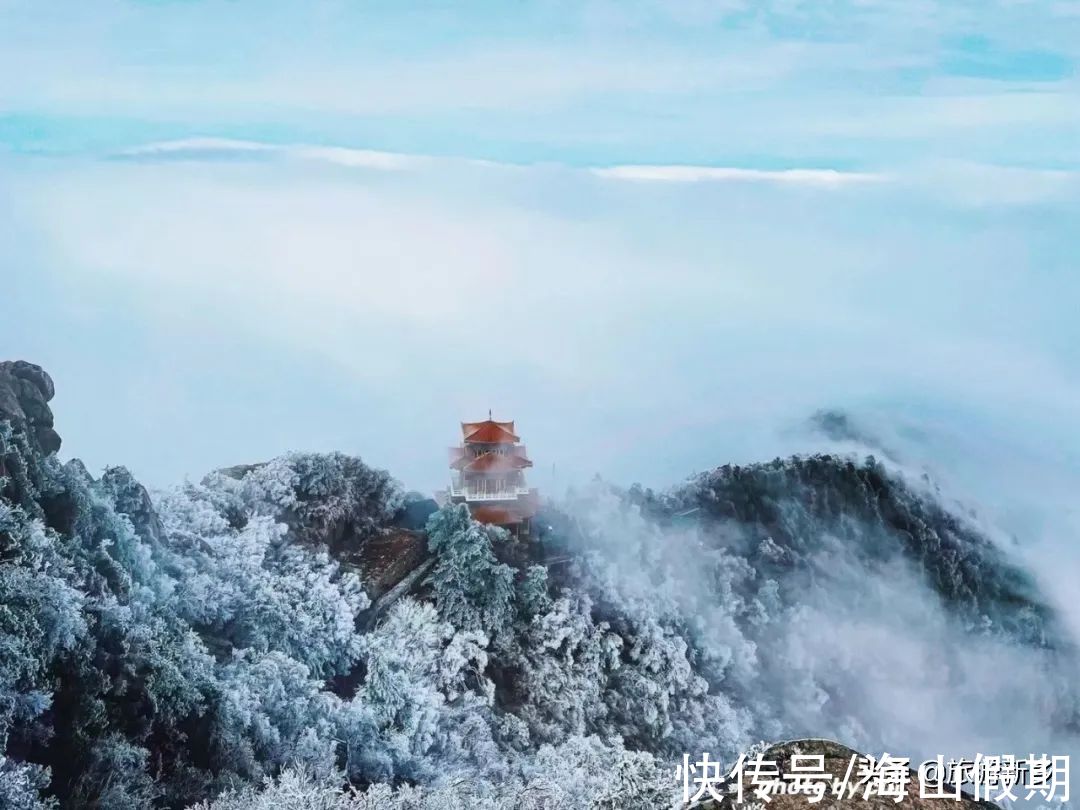 秋天|秋景雪景争相斗艳！洛阳白云山迎来今年秋天的第二场雪