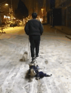 |搞笑GIF:下雨天没有雨衣,怎么办?自己制作的这个雨衣还挺合身