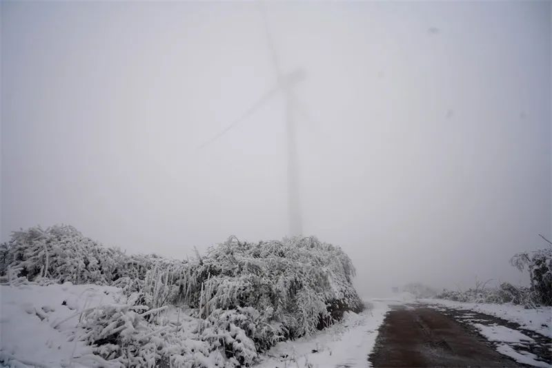 冰雪|绝美雪景！古蔺邀请你来体验“冰雪奇缘”