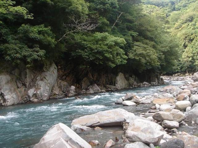 很多钓友不认识此鱼，能散发特殊香味，被市场誉为“淡水鱼之王”