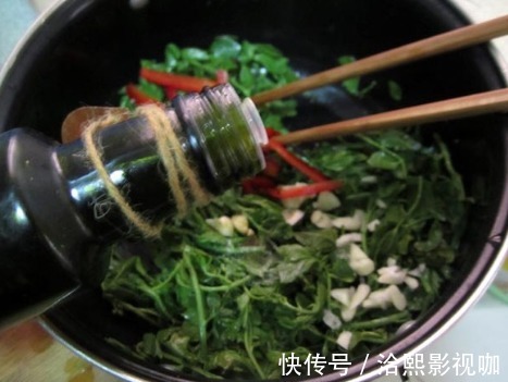 开胃|这种树叶子比嫩香椿还香，吃过的人不多，简单拌一拌，好吃又开胃