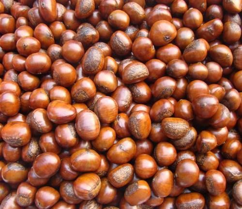 胡蘿卜|胃不好的人，每天早餐吃點“它”，健脾養胃，效果比“胃藥”奏效