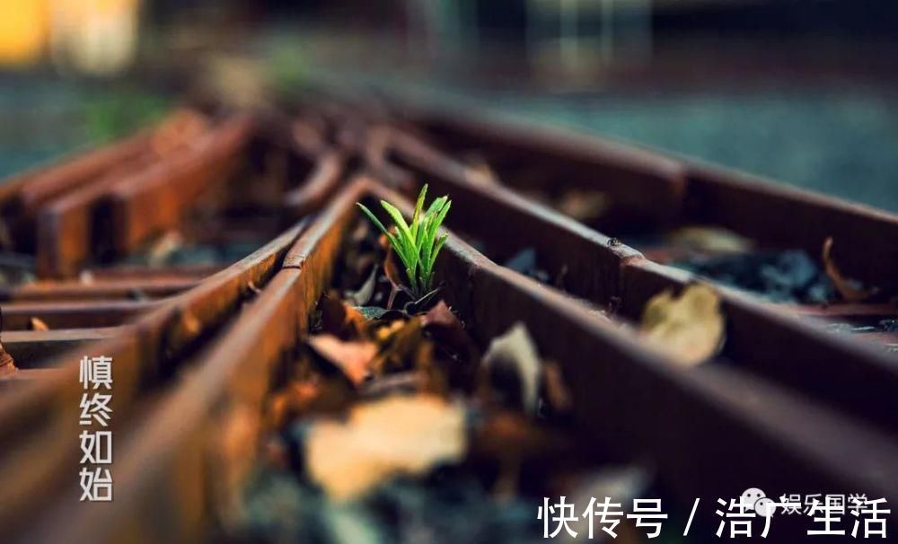 函谷关#看了《道德经说什么》,才知道《道德经》到底说什么!