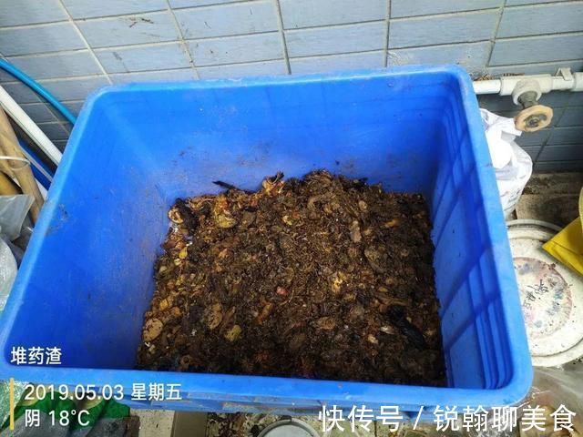 1粒小药片,碾碎丢水里,花像吃了兴奋剂疯长