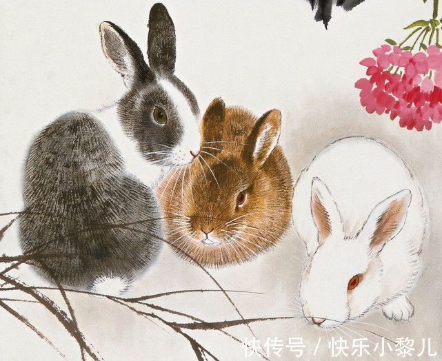 生肖兔生肖兔|1月11号开始,财运格外旺盛,3生肖贵人相助,运势一片大好