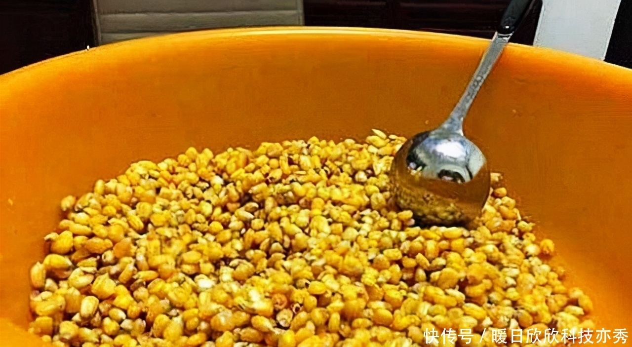 鱼儿|野钓窝料不能随便打,不同鱼情有对应套路,逼它优先吃钩