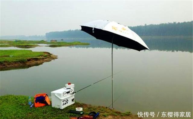 水草|夏季钓鱼，这些钓鱼俗谚可以参考，钓鱼前辈的经验总结，很有道理