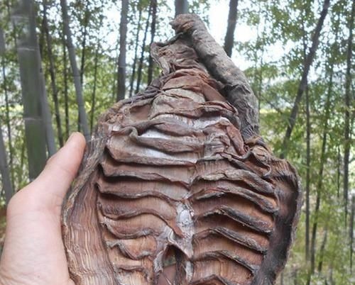 红薯|女人腹部和下半身有赘肉,非常建议常吃几种食物,瘦身营养两不误