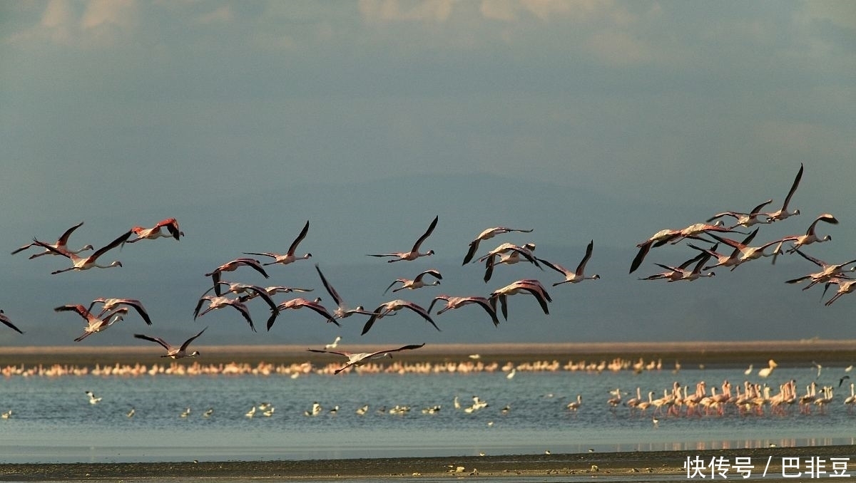 马拉维湖 正在形成的地球第八大洲:每年移动几十毫米,预计在100万年后形