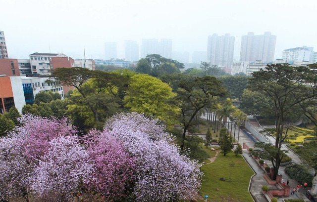 实力|广东省最厉害的一所师范大学，师范类院校排名前十，实力怎么样？