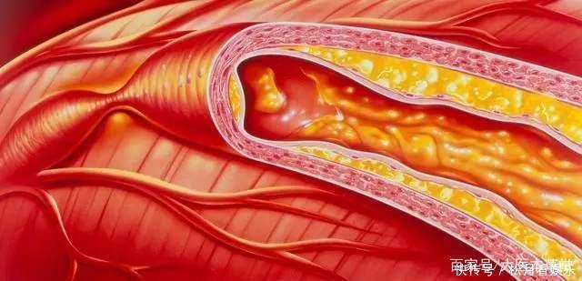 女性50岁以后对自己好点,常吃三大“零食”,好处或许“不请自来”