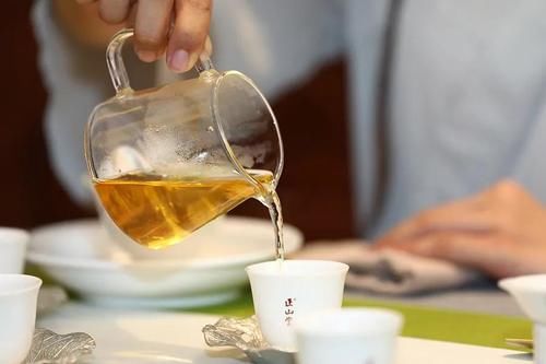 南方|南北方喝茶差异到底有多大？