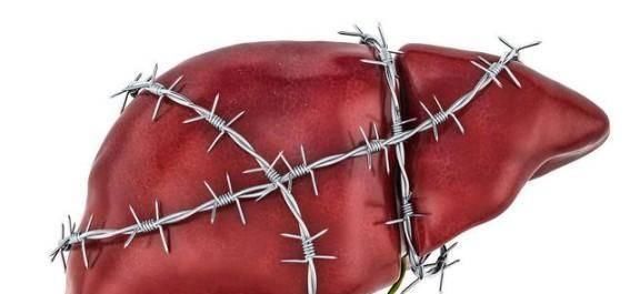 赤小豆|夏至后，“濕”積五臟，易生病，教你三招祛濕，身體會(huì)更健康