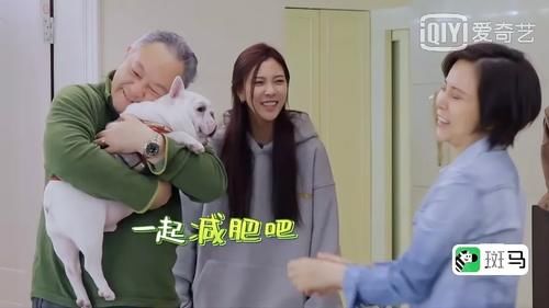 观众|现在的国产综艺，观众成了“主角”