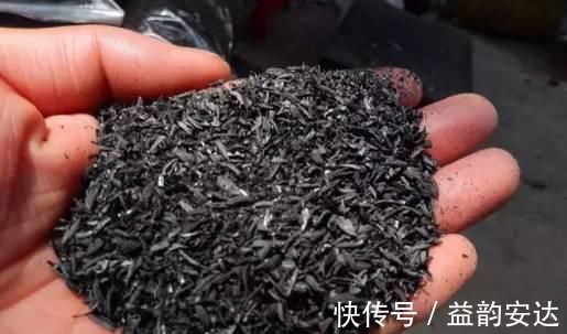 别再花钱买花肥，1种东西用来养花，效果比花肥强10倍！