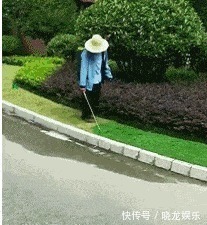 |搞笑GIF：妹子你这身材还是遵守一下交通规则