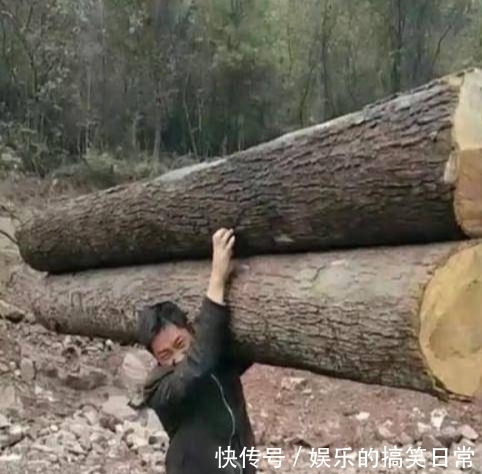 西游记中@俗话:“一人不进庙、二人不看井、三人不抱树”,有何道理?