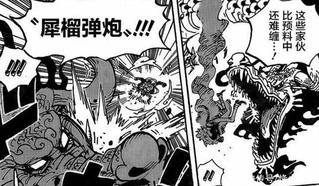 战队分位已经很明显,顶楼作战还需要马尔科的帮忙 大妈|凯多|超新星