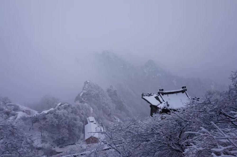 风雪|风雪武当山,仙境藏玄机!大雪封山时,道人、隐士都在干什么!