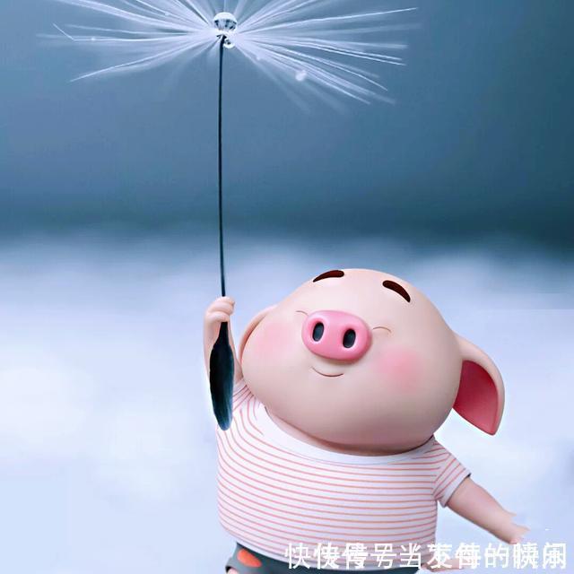 |日常发说说的搞笑句子,沙雕逗趣,帮你赶走坏心情!