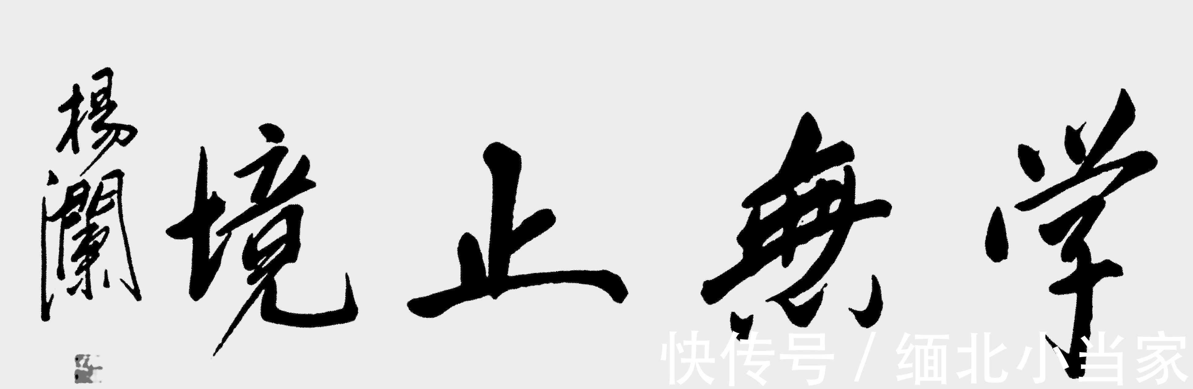 硬笔书法&杨澜有多美,她的书法也有多美,书协大佬也羡慕:希望多交流