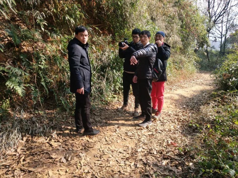 桃花源|永岁镇党委书记走进央视镜头,欲将此古城打造成历史文化旅游景点