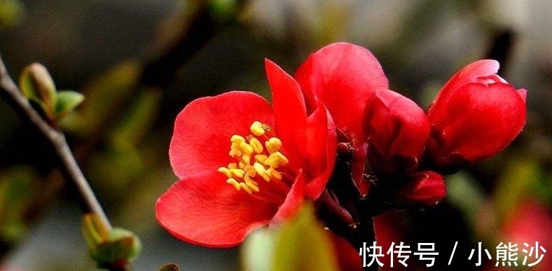 财富|2021年底运势由低走高,事业枯木逢春,财富收入与日俱增三生肖