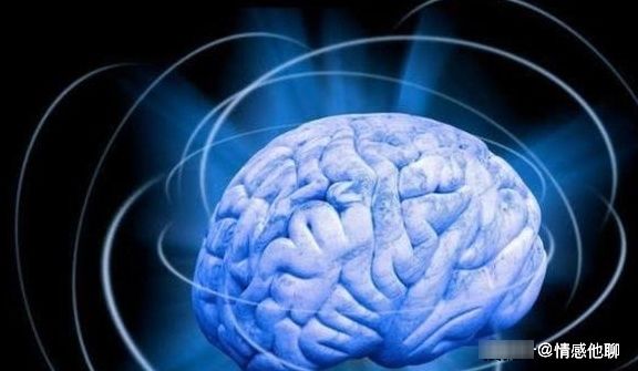 孩子的“头旋”越多,就代表越聪明?科学的解释在这里!