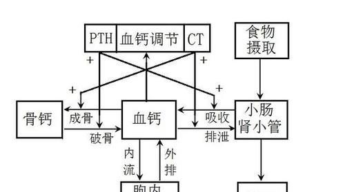 认识CAT翻译软件