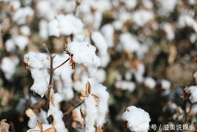 中年|苏州女子探秘南疆巴州：这是一处色彩的世界，超出你的想象