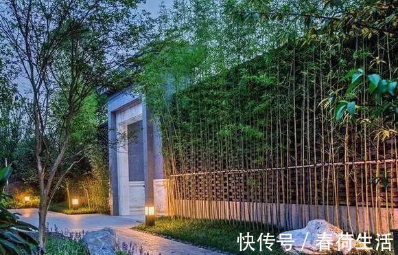 种树|院子里别乱种树,海棠“富贵满堂”,桂花“出贵子”,旺运添福