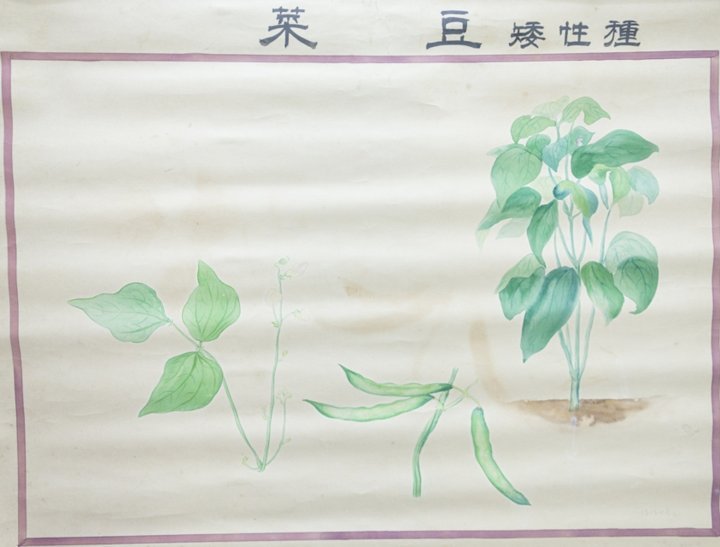 黄芽菜|震惊又感动！浙大老教授捐出200多幅画 满满都是爱