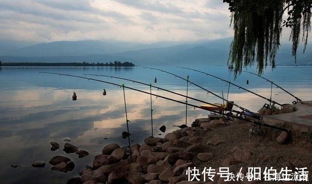 野钓为何不喜欢海竿阵渔获是其次,主因实属无奈