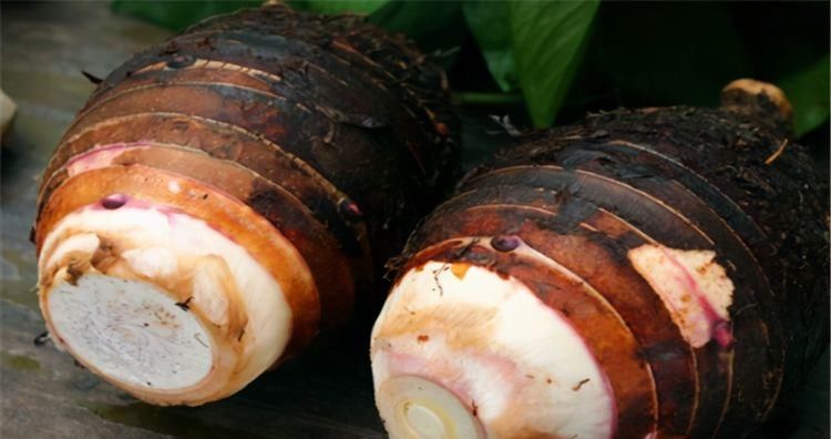  养颜|女性想要变年轻，三种食物要多吃、排毒养颜、好处多多