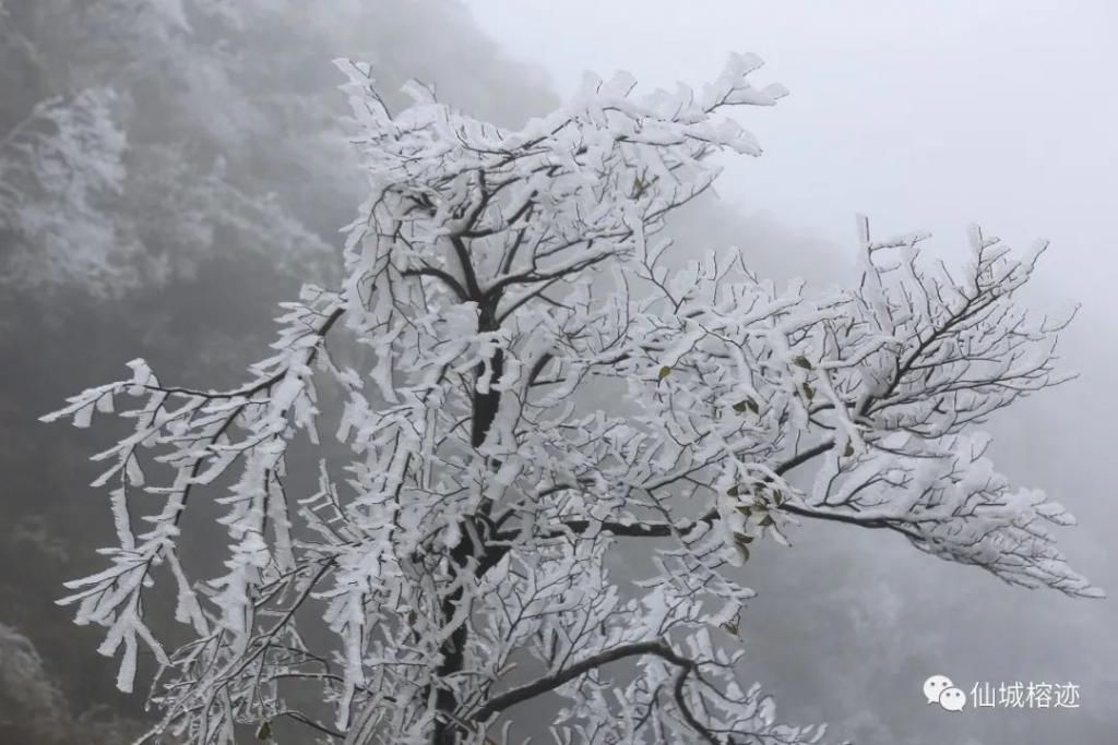 大明山赏雾凇