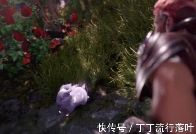 唐门|斗罗大陆马红俊想做副宗主,有谁注意到小舞在摇头嫌弃谁让胖子欺负她!