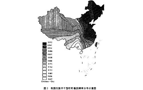 耳朵为什么会痒？里面的“油”是啥？看完总算清楚了